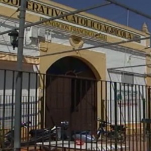 La Bodega Cooperativa Católico Agrícola realizará mañana una jornada técnica sobre control de enfermedades de la viña