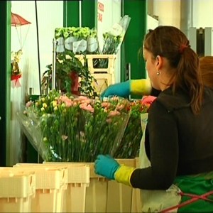 El Ministerio de Hacienda baja al 0,22 los módulos del IRPF en flor cortada y cultivos hortícolas