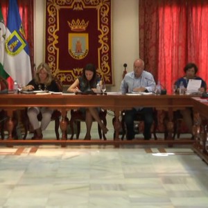 El Pleno aprueba crear el Consejo de Medio Ambiente y adaptar las normas de funcionamiento del Consejo Director de Turismo