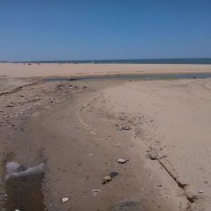 IU exige al gobierno local (PSOE) que asuma responsabilidades por las aguas fecales en la playa de Las Piletas(Sanlúcar de Bda.)