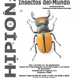 José Manuel Barreda muestra en el centro El Camaleón su colección de insectos del mundo hasta septiembre