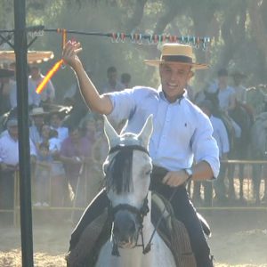 La Fiesta de la Palmicha se celebrará el domingo 25 septiembre