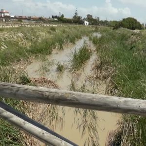 La Junta deniega a Chipiona la ayuda por las inundaciones de mayo al no existir reclamaciones particulares de agricultores