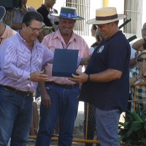 Buen tiempo en una Fiesta de la Palmicha que homenajeaba a la peña Las yeguas