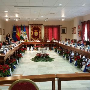 22 alumnos de cuarto de primaria muestran sus preocupaciones en un Pleno infantil para conmemorar el Día de la Constitución