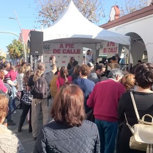 Izquierda Unida hace una valoración muy positiva del desarrollo de las jornadas “Cultura a pie de calle”