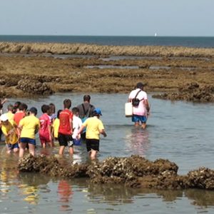 El Pleno de Chipiona acuerda pedir a la Junta soluciones ante las denuncias a los mariscadores de corral