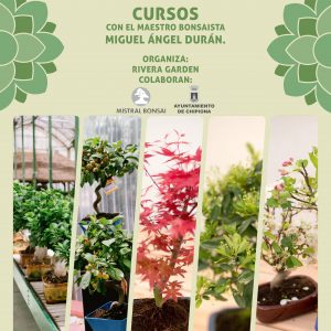 Rivera Garden organiza los días 13 y 14 de mayo su anual exposición de bonsáis y cursos con un experto nacional