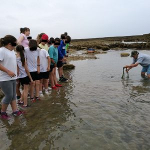 Concluye el programa de Jarife y Educación para acercar a los escolares los corrales y su arte de pesca milenario