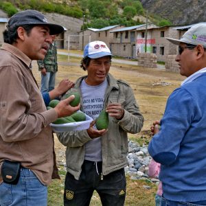 530 familias del Ande peruano mejoran su economía con el apoyo de Madre Coraje y la Fundación la Caixa