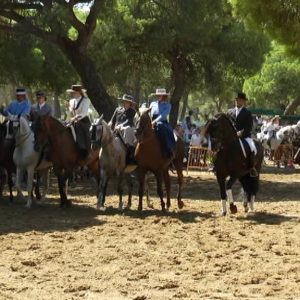 El mundo ecuestre volverá a ser protagonista este fin de semana en la edición de este año de la Fiesta de La Palmicha