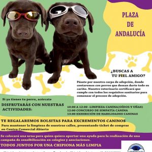 Chipidog celebra este sábado una jornada de actividades para los amantes de los perros y promover la adopción de esos animales