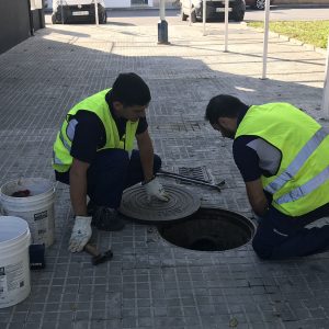 El Ayuntamiento de Chipiona aborda el lunes dos muevas fases de la  segunda campaña anual de desinsectación y desratización