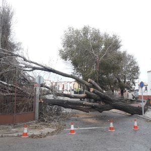 El temporal deja en la localidad árboles caídos y algunos daños materiales, aunque sin demasiada gravedad