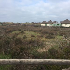 Ciudadanos Chipiona reclama al Ayuntamiento que recupere la Laguna de Regla