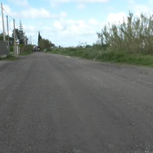 La Delegación de Agricultura realiza mejoras en los caminos tras los temporales