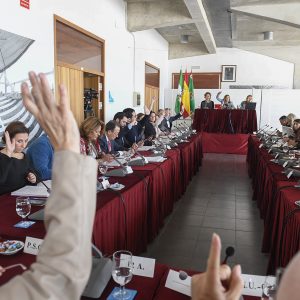 El Pleno de Diputación anula las distinciones que se concedieron a Franco, a Carrero Blanco, al general Varela y a cinco ministros de la Dictadura