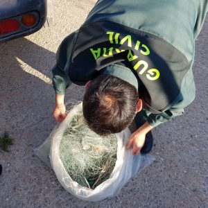 La Guardia Civil de Chipiona desmonta un trasmallo de cincuenta metros frente a Costa Ballena