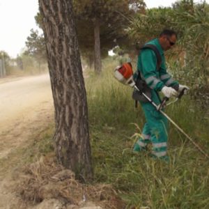 Medio Ambiente procede a limpiar y desbrozar el pinar de cara a la celebración de la Romería