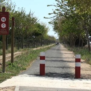 La Delegación Territorial de Medio Ambiente incluye en las actuaciones provinciales el arreglo de las vías pecuarias y el camino del Olivar