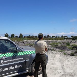 Desmontadas por la Guardería Rural de Chipiona dos redes para la caza ilegal de aves insectívoras