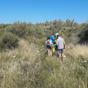 Recogidos casi ochenta kilogramos de residuos en el cordón dunar en una actividad participativa del programa Libera