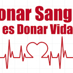 El autobús de las donaciones de sangre estará el lunes y el martes en la playa de Regla