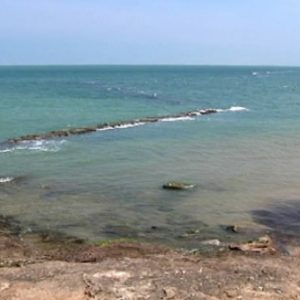 La Junta prohíbe el marisqueo de algunos moluscos en la zona de producción gaditana