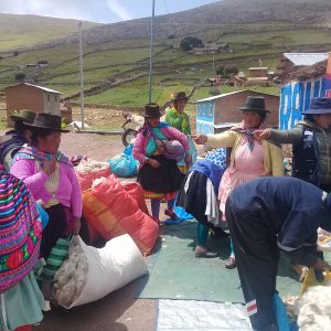 Madre Coraje y ‘la Caixa’ apoyan a más de 1.600 hombres y mujeres en Perú con su proyecto ‘Mercados alpaqueros’