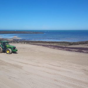 Playas comienza los trabajos de distribución, nivelado y adecuación de la arena en la playa de La Cruz del Mar