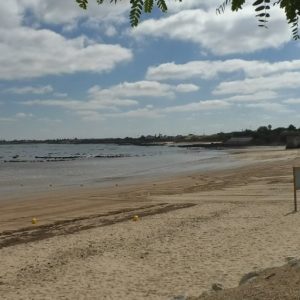 La playa de Micaela candidata a obtener el certificado de calidad medioambiental EMAS