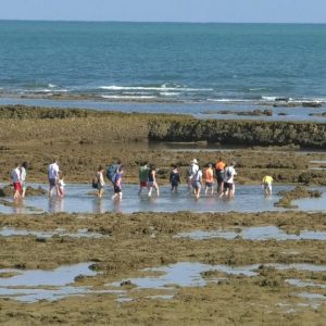 Comienzan las visitas estivales al faro y a los corrales de pesquería organizadas por la Oficina de Turismo de Chipiona