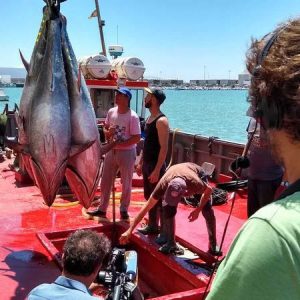 ‘Crónicas’ comienza la temporada en las almadrabas de Cádiz