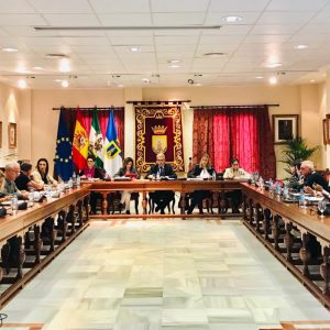 El Pleno chipionero aprueba la modificación provisional de cuatro ordenanzas municipales