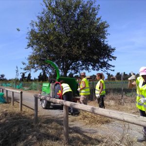 Medio Ambiente finaliza la primera fase de los trabajos de limpieza y mantenimiento en la Vía Verde