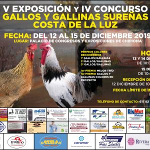 Chipiona acoge desde hoy la V Exposición y el IV Concurso de Gallos y Gallinas Sureñas Costa de la Luz