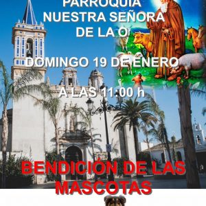 La plaza Juan Carlos I acoge el próximo domingo la Fiesta de San Antón en la que se bendecirán a las mascotas