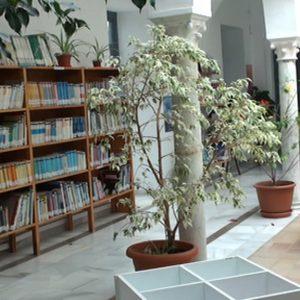 Los usuarios de la biblioteca municipal de Chipiona podrán acceder a 570 nuevos títulos de libros electrónicos