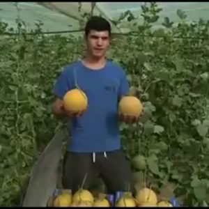 Agricultores de la zona lanzan un video para difundir la calidad de los productos hortícolas