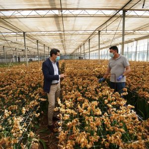 El PP satisfecho con la visita de Juanma Moreno a Chipiona para buscar soluciones a la situación del sector de la flor cortada