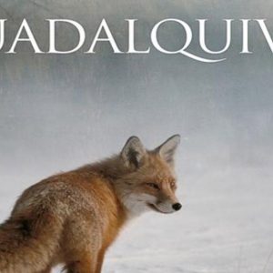 «Guadalquivir», el documental que recorre Cazorla, Sierra Morena y Doñana