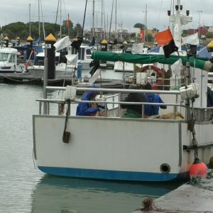 Agricultura y Pesca asesorará en la ayudas a la pesca y el marisqueo que acaban de publicarse