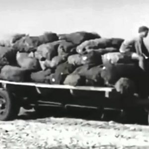 Documental «La Guerra olvidada». Fecha de emisión: miércoles, 15 de julio, a las 20:30 horas, en Andalucía Televisión (ATV)