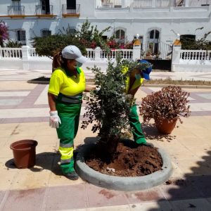 Parques y Jardines retoma los trabajos de adecentamiento de la Plaza del Molino