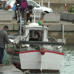 Las ayudas a la paralización temporal de la actividad pesquera se pueden solicitar hasta el 29 de agosto