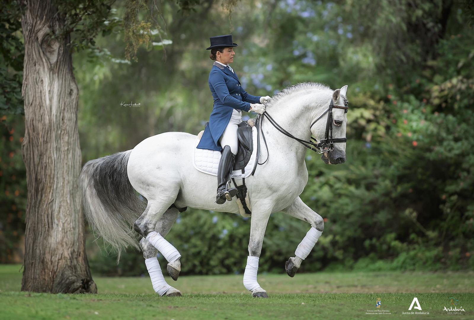 La Real Escuela Andaluza del Arte Ecuestre ofrece una exhibición