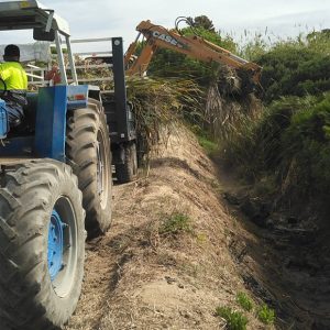 La Delegación de Agricultura reanuda la limpieza de cunetas y arroyos en la zona rural de Chipiona