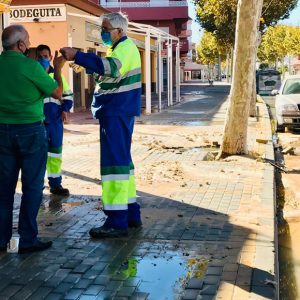 La vía general de abastecimiento de agua de la Laguna sufre de nuevo una rotura ocasionada por las raíces de los árboles