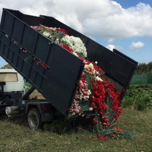 Las ayudas de la Junta por la destrucción de flor cortada y ornamental por la crisis del covid-19 se pueden solicitar hasta el 5 de noviembre