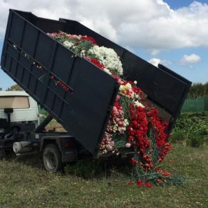 Los agricultores y empresas de flor cortada y planta ornamental de Chipiona ya pueden solicitar las ayudas de la Junta por el covid-19